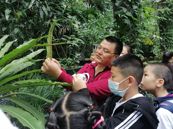 1.陈教授实地讲解植物知识.jpg