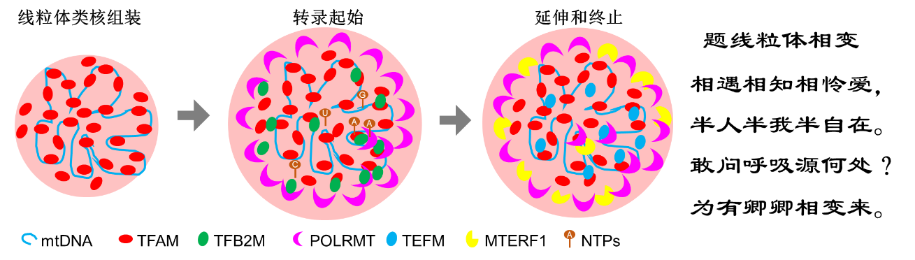 W020211029347537968833.png