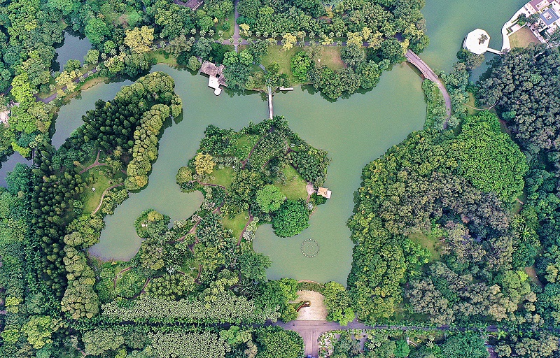 5.华南植物园展示区鸟瞰图（杨晓 摄）.jpg